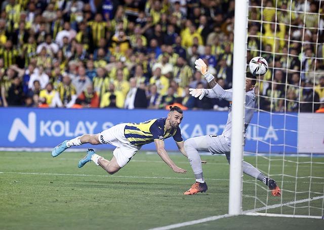 和团结的队 和团结的队