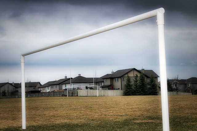 對來自幾內 對來自幾內