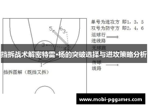 挡拆战术解密特雷·杨的突破选择与进攻策略分析