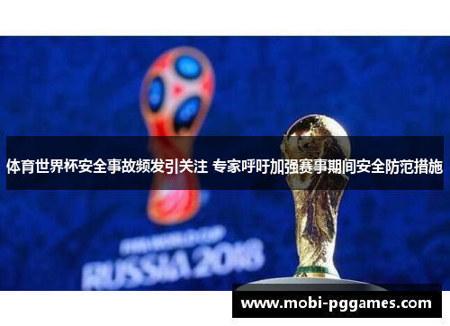 体育世界杯安全事故频发引关注 专家呼吁加强赛事期间安全防范措施
