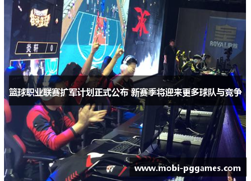 篮球职业联赛扩军计划正式公布 新赛季将迎来更多球队与竞争