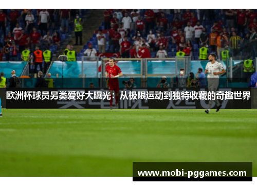 欧洲杯球员另类爱好大曝光：从极限运动到独特收藏的奇趣世界