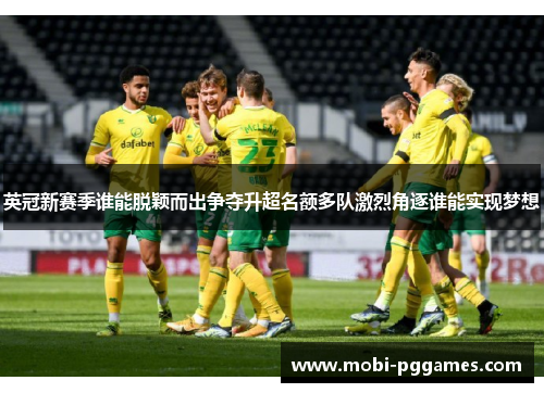英冠新赛季谁能脱颖而出争夺升超名额多队激烈角逐谁能实现梦想