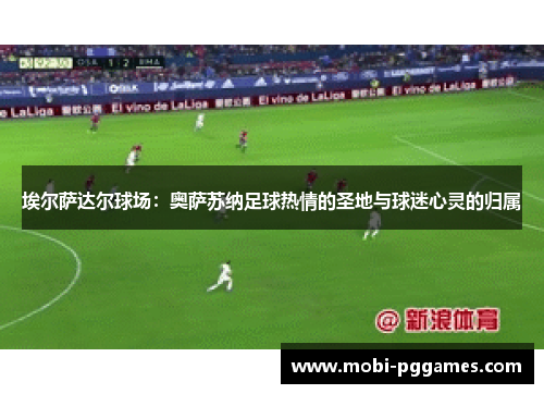 埃尔萨达尔球场：奥萨苏纳足球热情的圣地与球迷心灵的归属