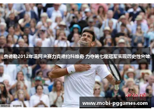 费德勒2012年温网决赛力克德约科维奇 力夺第七座冠军实现历史性突破