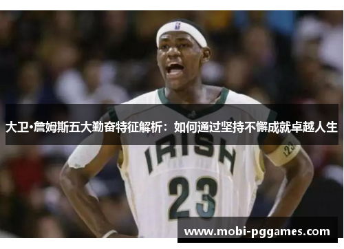 大卫·詹姆斯五大勤奋特征解析：如何通过坚持不懈成就卓越人生