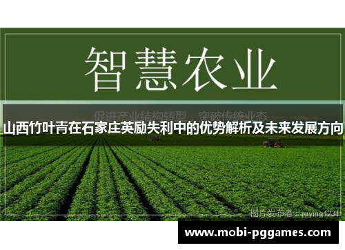 山西竹叶青在石家庄英励失利中的优势解析及未来发展方向